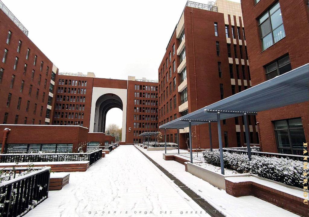 2023 12 PEKIN- UNIVERSITE LANGUES ETRANGERES SOUS LA NEIGE (6).jpg
